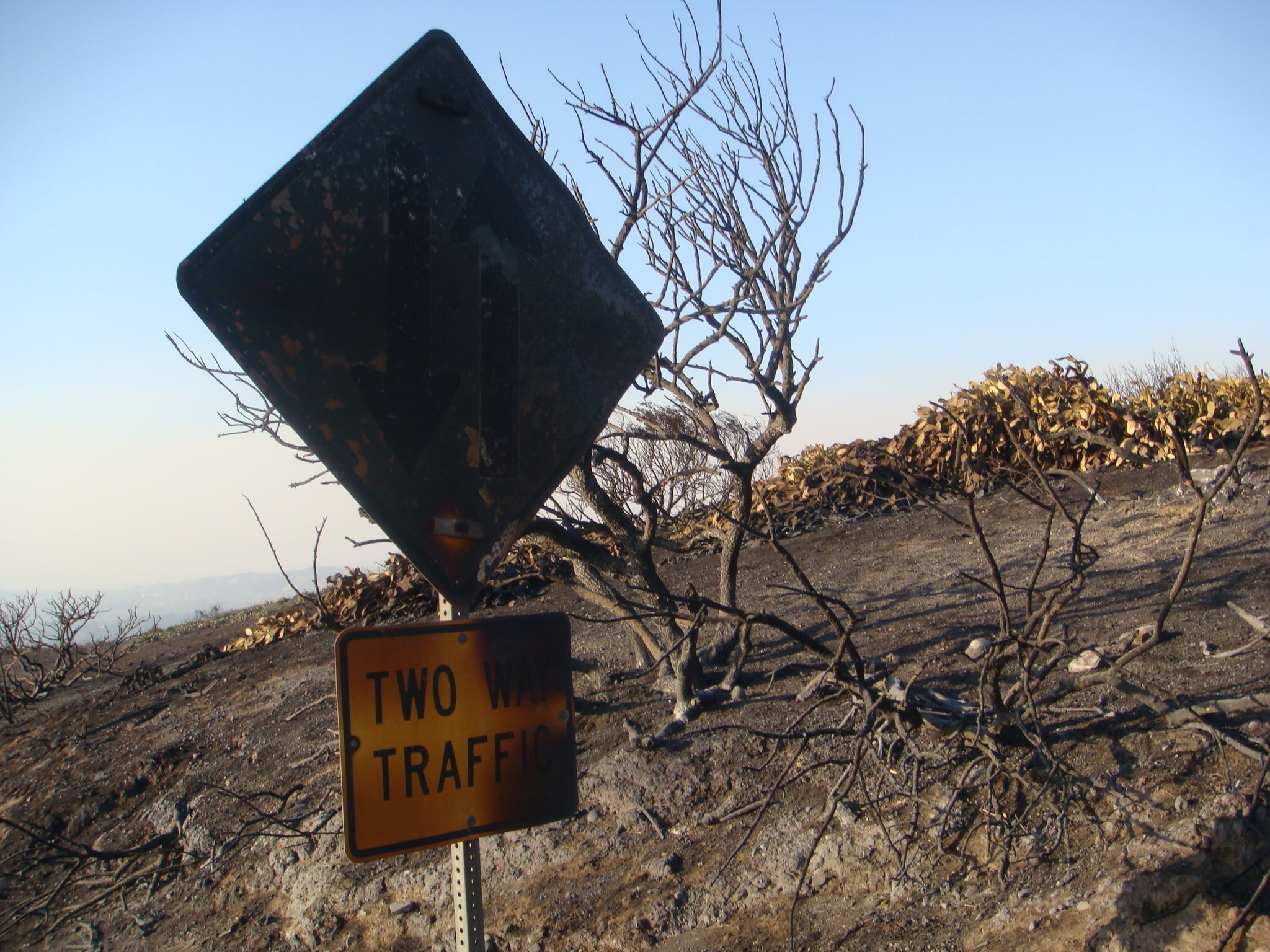 Burned road sign and hillside in Santiago Canyon 
